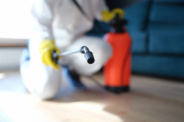 Best Mold Documentation for Insurance Claims  in Bolinas, CA
