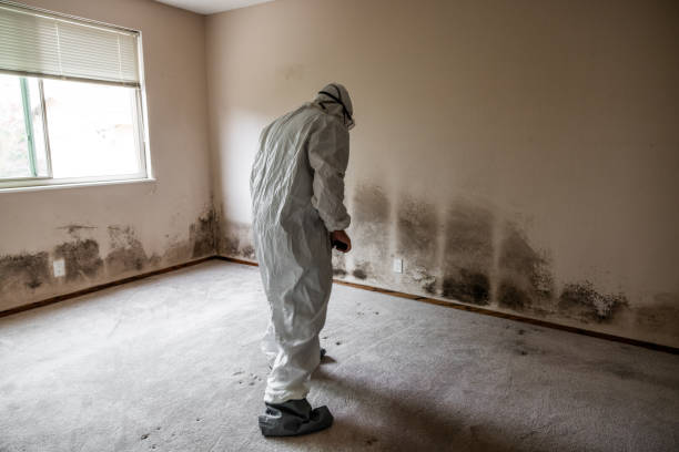 Best Crawl Space Mold Remediation  in Bolinas, CA